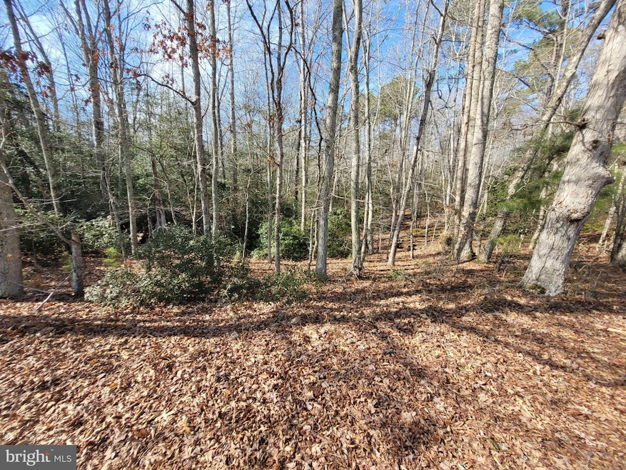 00A Bogey Neck Rd, Heathsville, VA 22473 - photo 1