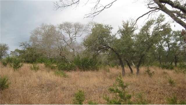 More Trees