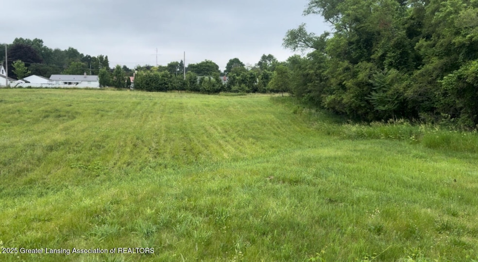0 W Jolly Rd, Lansing, MI 48910 - photo 1