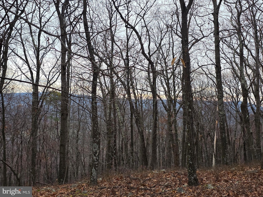 Lot 38 SEC V Breakeven Ln, Berkeley Springs, WV 25411 - photo 1