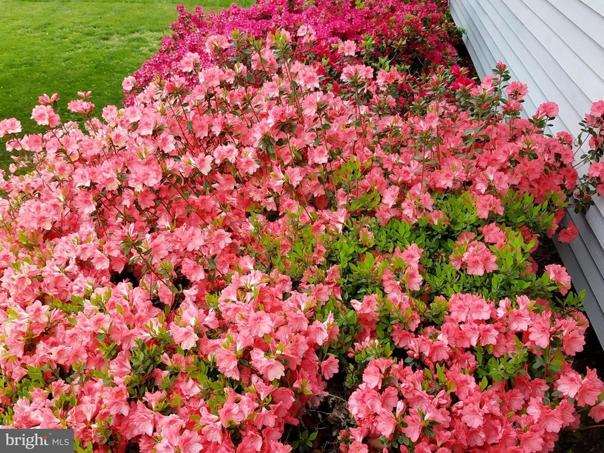 12811 Weiss St, Rockville, MD 20853 - photo 1