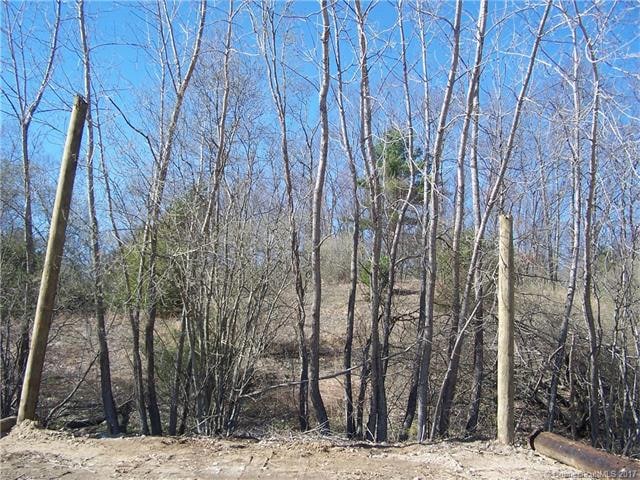 View of 21 Acres from rear o C.C. Lounsbury Rail O