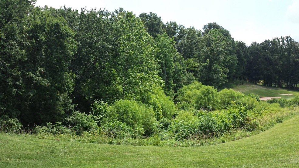 golf course Side of Lot