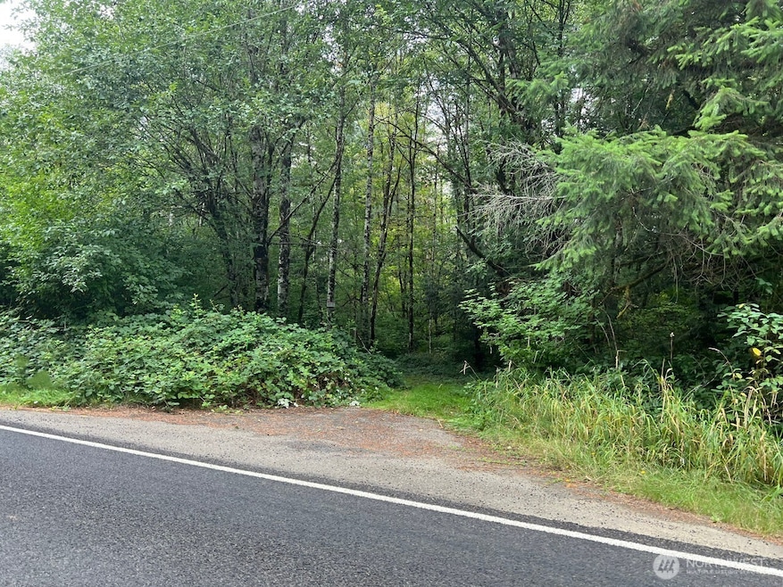 8822 Sherman Valley Rd SW, Olympia, WA 98512 - photo 1