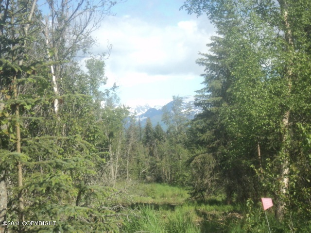 MOUNTAIN VIEWS