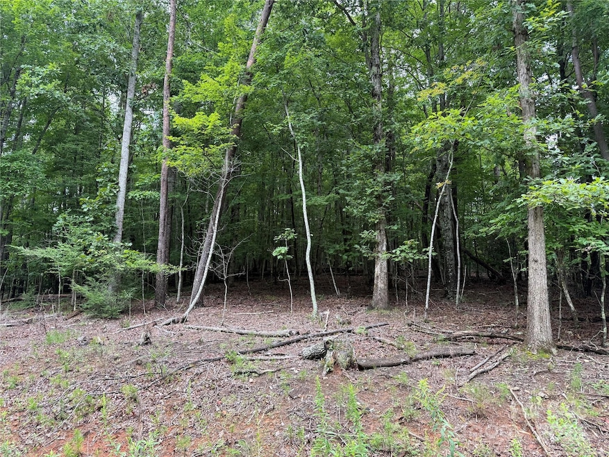 00 Woodchuck Ln unit 110, Marion, NC 28752 - photo 1