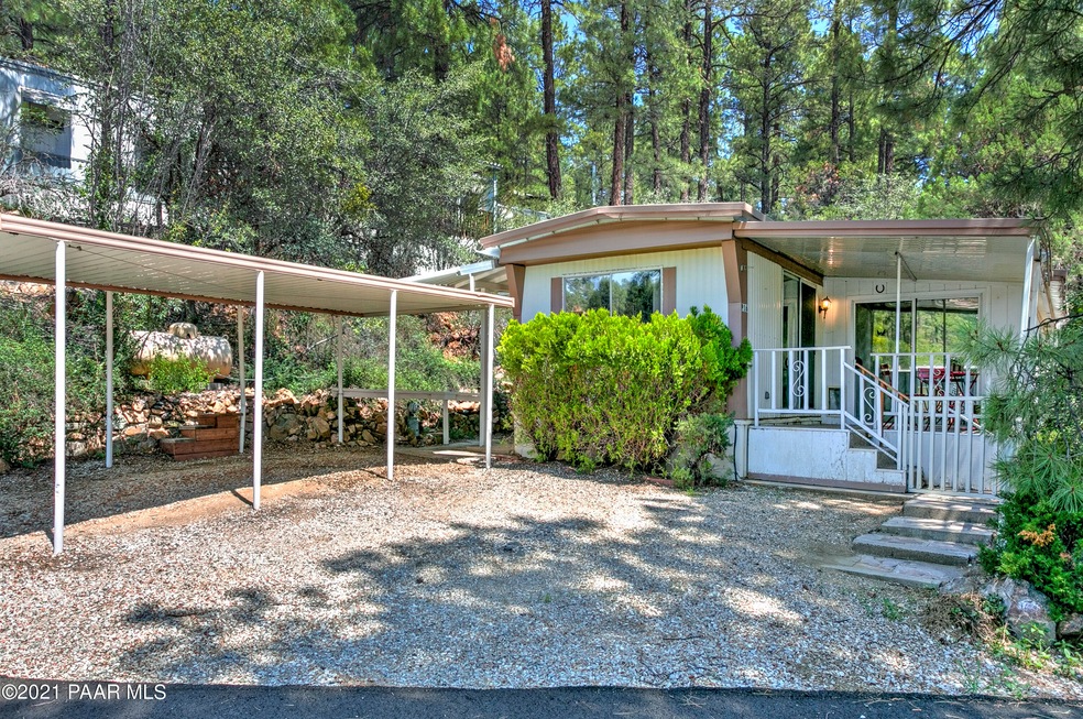 Private in the Pines