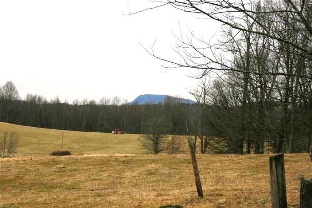 Main View