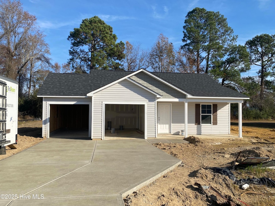 202 Streamlet Dr, Fremont, NC 27830 - photo 1