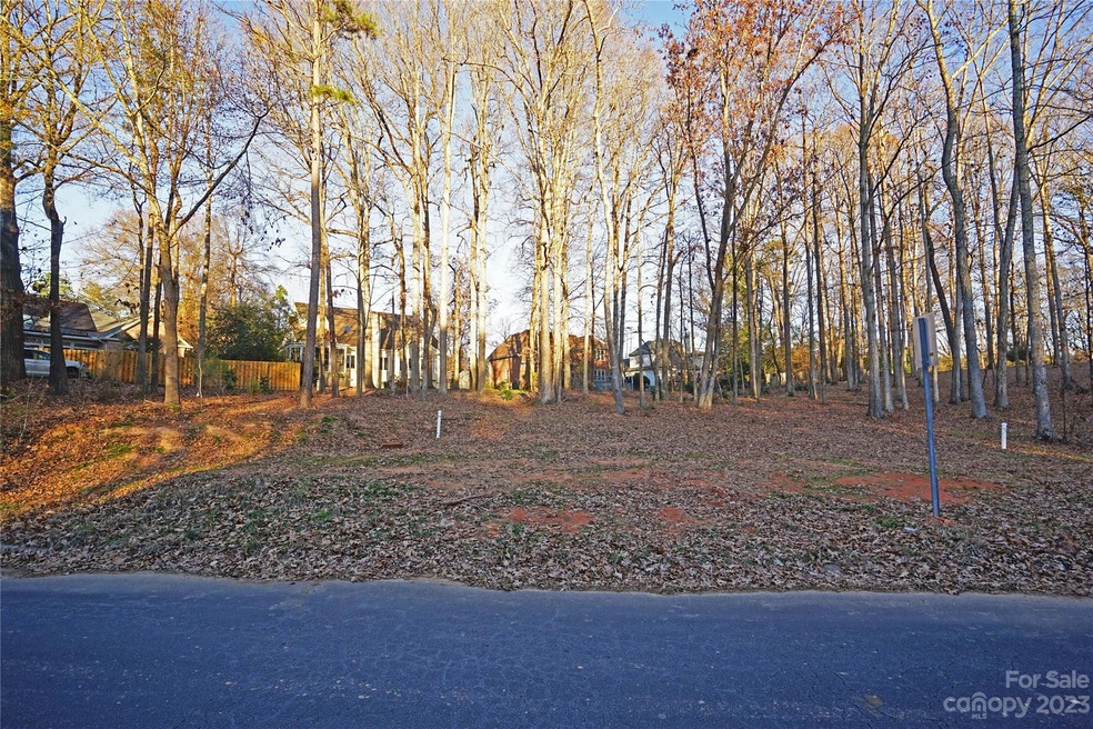 16307 Riverpointe Dr, Steele Creek, NC 28278 MLS CAR4094638