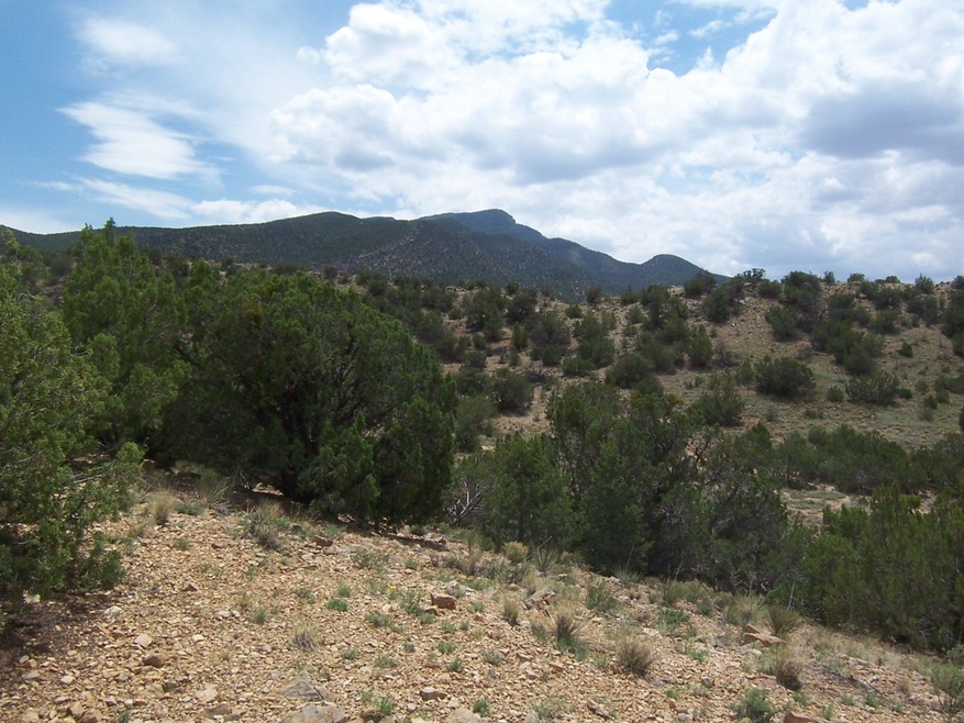 20 Paseo de San Antonio Rd, Placitas, NM 87043 - photo 1