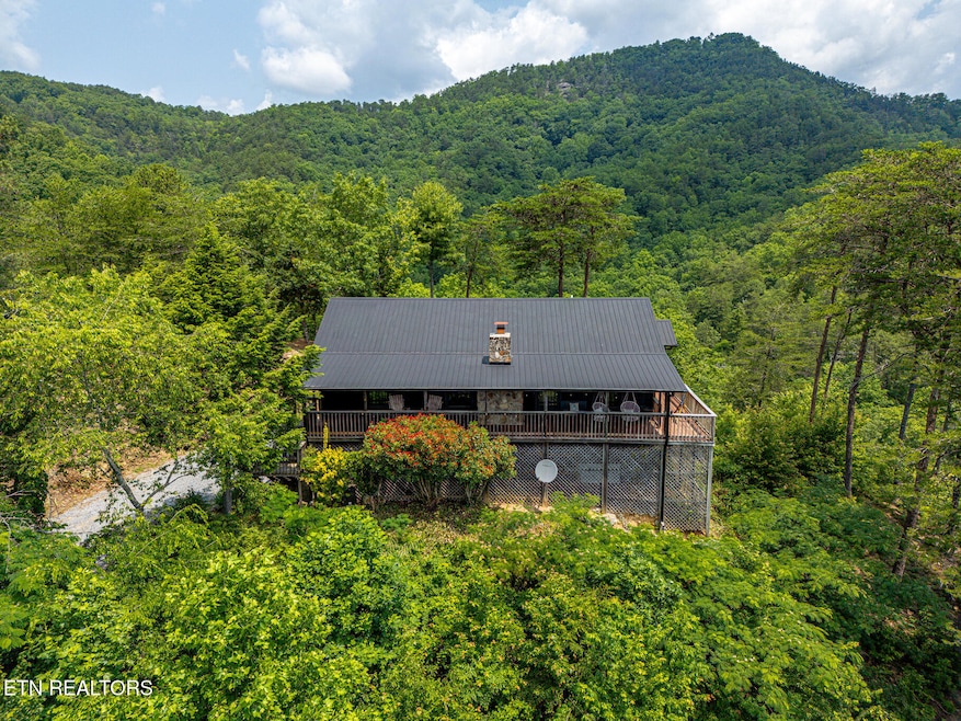 3050 Patty View Way Aerial-3