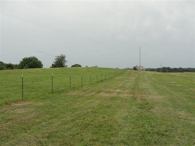 Primary Photo