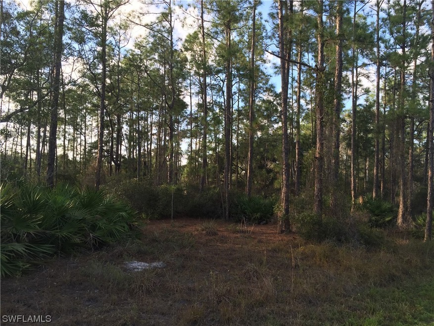 2211 Canton Ave, Alva, FL 33920 - photo 1