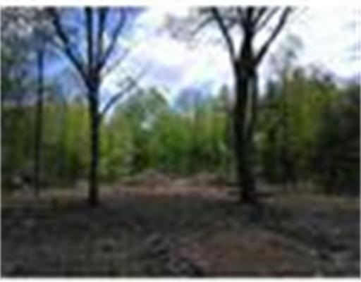 lot 2 Paradise Lake Rd, Monson, MA 01057 - photo 1