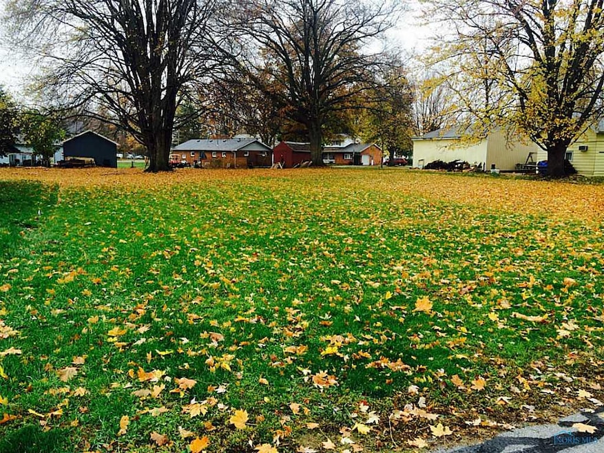 Yard/Garden.