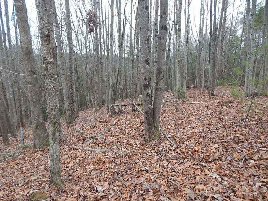 1061 Round Rock Rd unit 56, Johns River, NC 28645 - photo 1