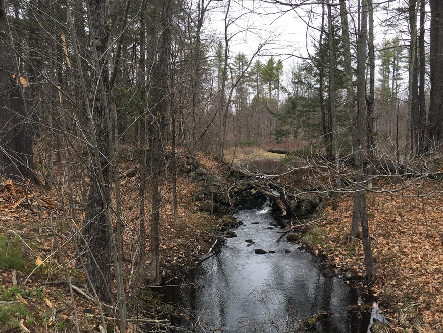 0 0 Spring Benson Rd unit 1489237, Newfield, ME 04095 - photo 1