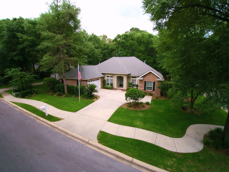 Aerial View1