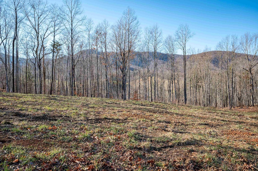 1590 Mill House Rd, Woolwine, VA 24185 - photo 1