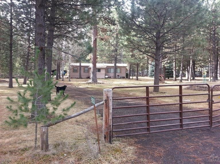 Primary Photo
