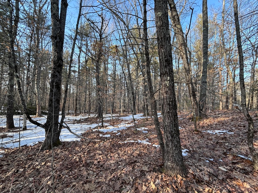 0 Webbs Mills Rd, Raymond, ME 04071 - photo 1