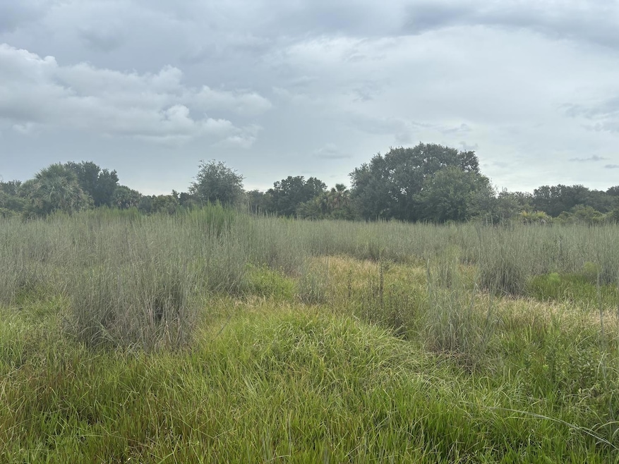 0 NW 294th St, Okeechobee, FL 34972 - photo 1