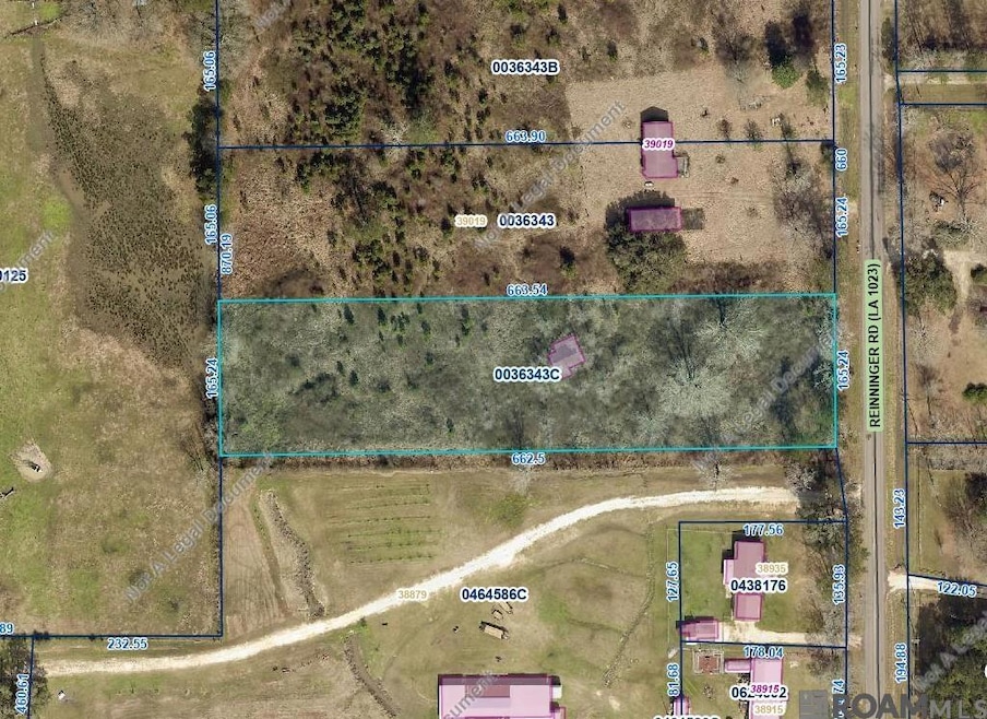 TBD Tract AP-4 Reinninger Rd, Denham Springs, LA 70706 - photo 1