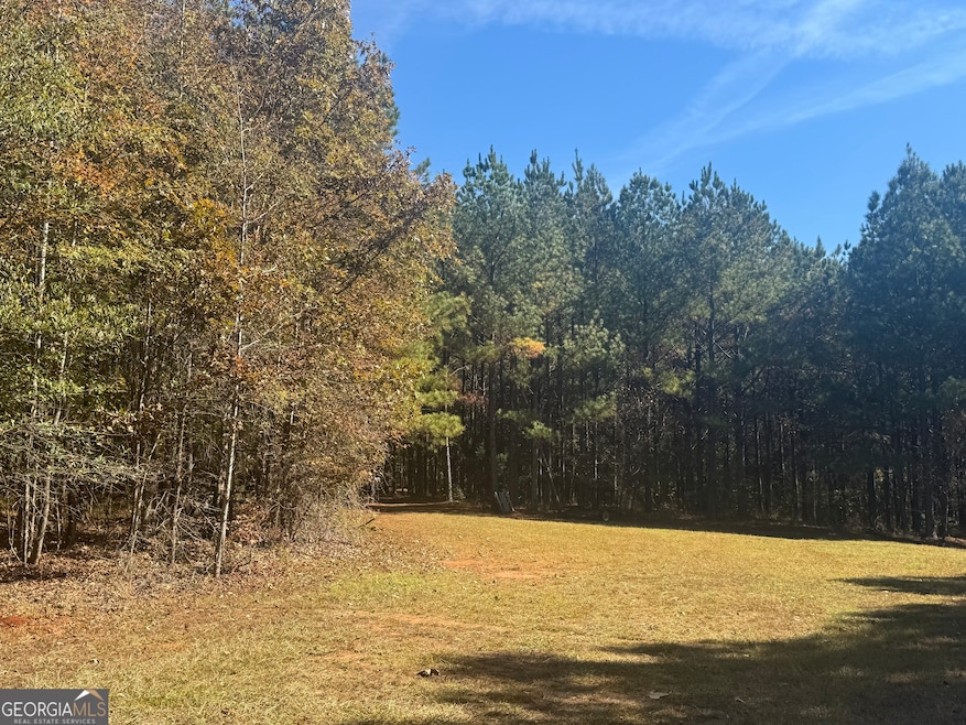 0 Perimeter Rd unit 10118660, Monticello, GA 31064 - photo 1