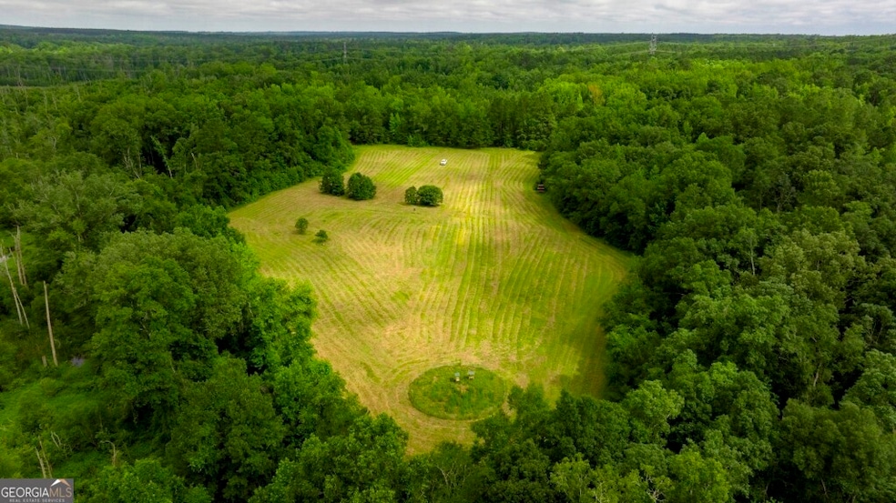 1230 Agricola Rd, Mitchell, GA 30820 - photo 1