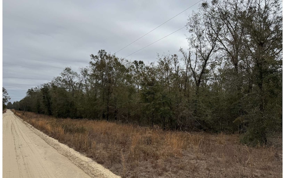 TBD SW 57th Trail, Jasper, FL 32052 - photo 1