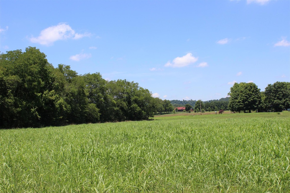 WELCOME TO 6359 LYNNVILLE / CORNERSVILLE  WHERE THE OLD FAMILY COUNTRY FARM OF 173 ACRES ARE WITH OPEN HAY PASTURE AND LONG ROAD FRONTAGE