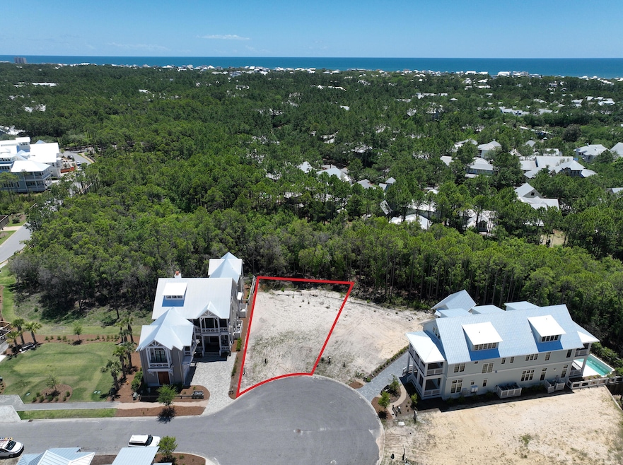 40 String Lily Cove, Santa Rosa Beach, FL 32459 - photo 1