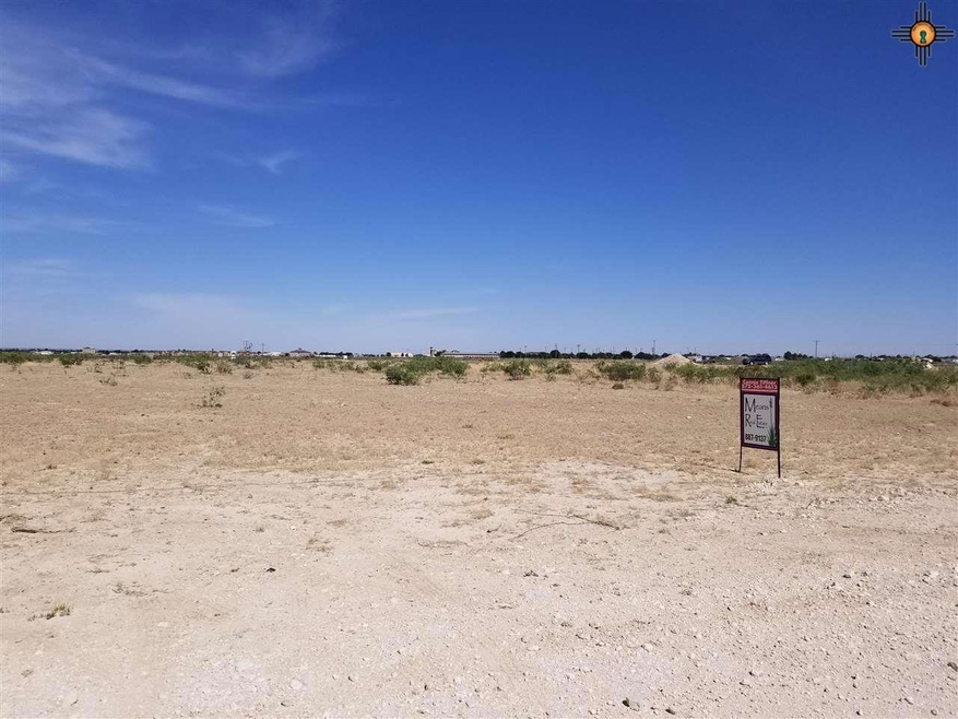 3908 Sandoval Rd, Carlsbad, NM 88220 - photo 1