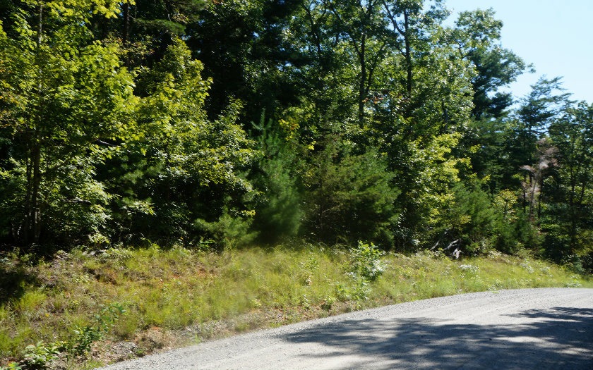 0 Peter Knob unit 261417, Blue Ridge, GA 30513 - photo 1