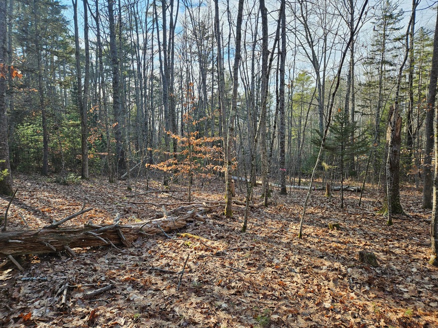 10-29.1 River Rd, Dresden, ME 04342 - photo 1