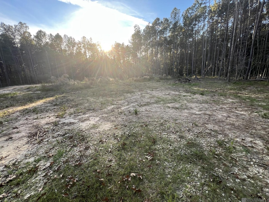 14333 Springfield Rd, Walker, LA 70785 - photo 1