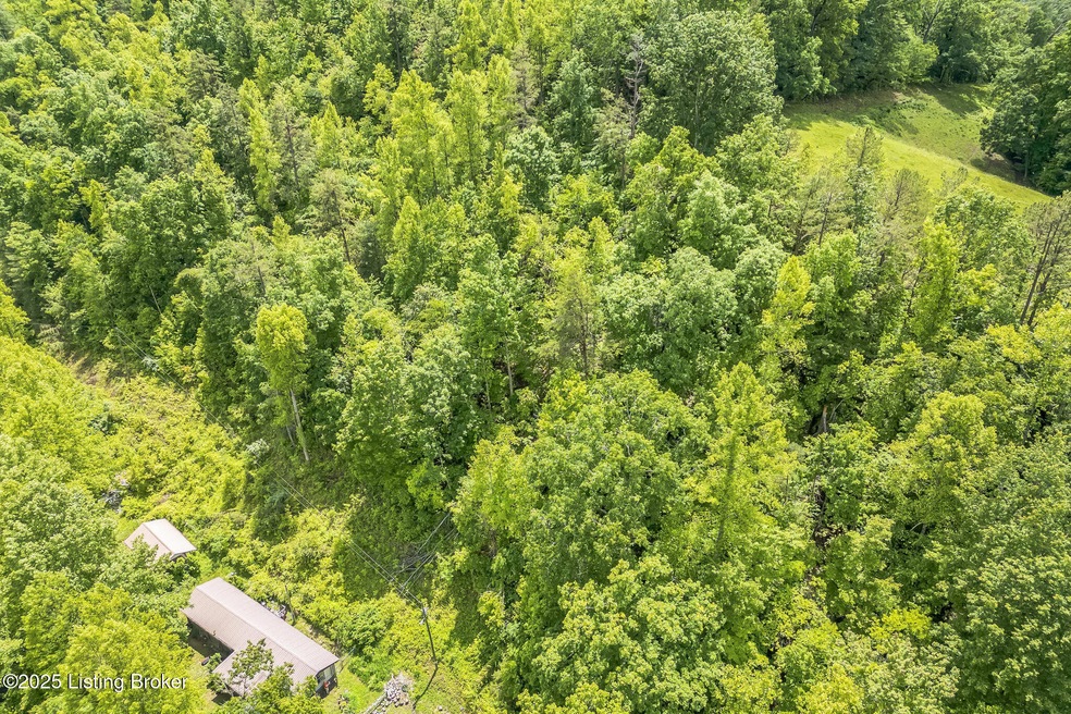 1518 Bryant Fork Rd