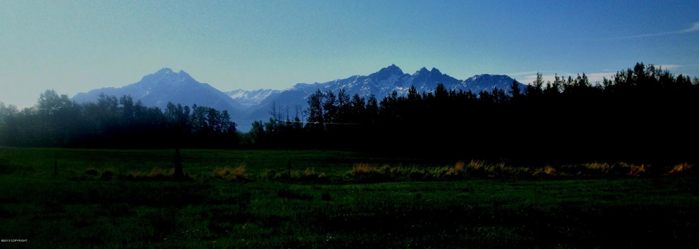 photo (1)2