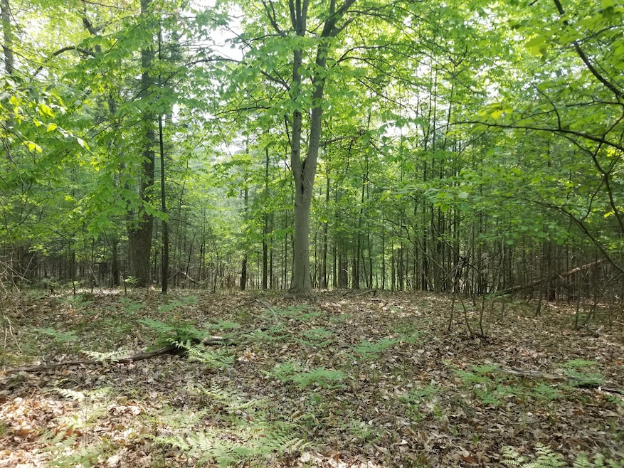 For Sale $75,900 • Co-Listing Agent
