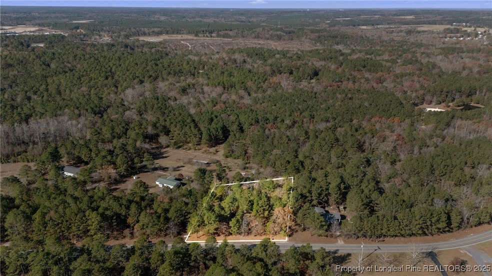 2746 Union Church Rd, Carthage, NC 28327 - photo 1