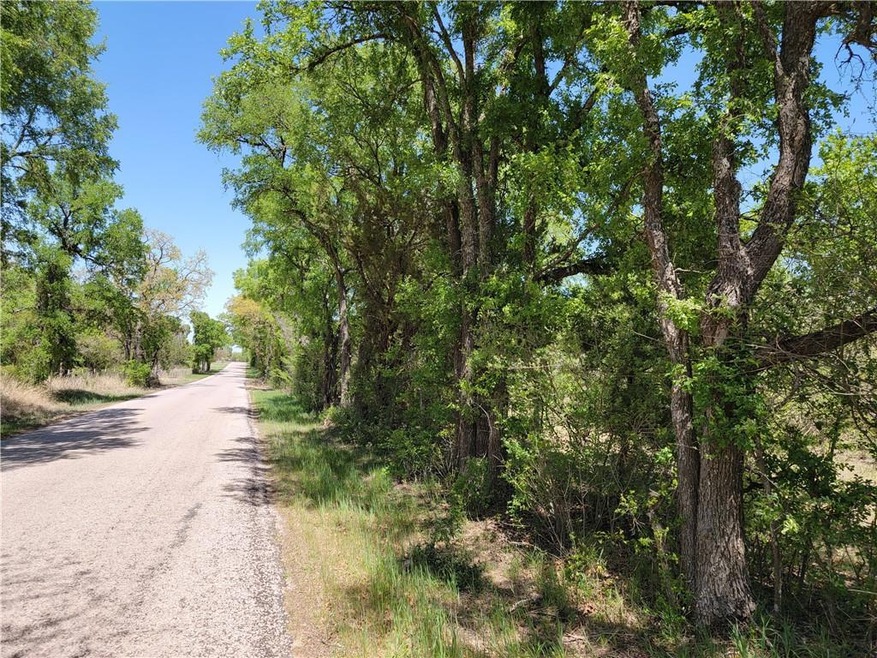 14609 Buckhorn Cemetery Rd unit Tract 9, Moody, TX 76557 - photo 1