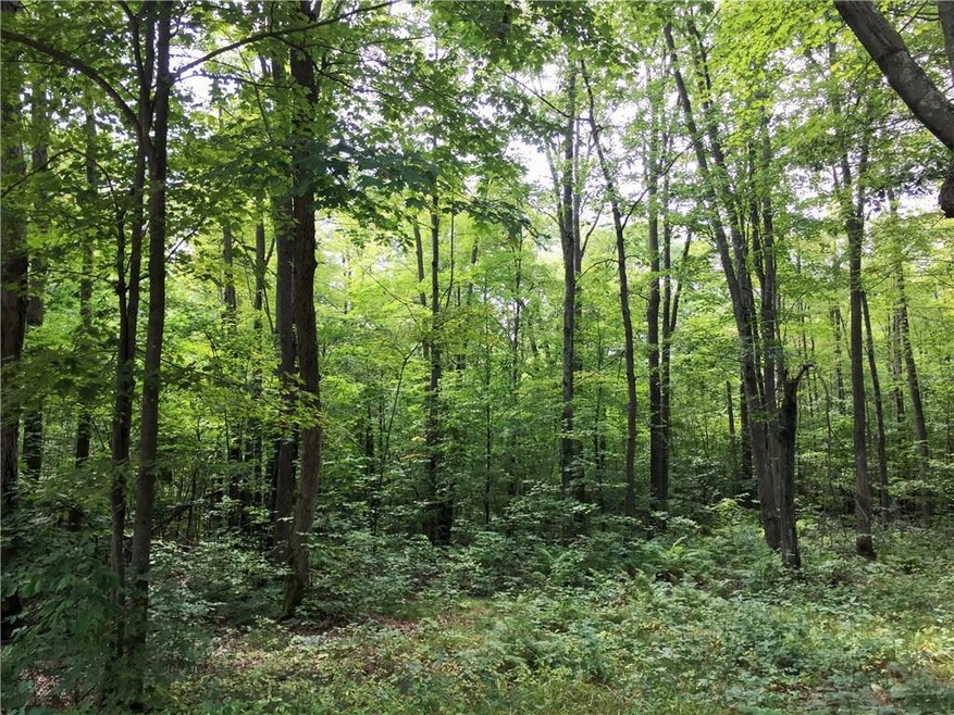 112 Acres 11th Ave, Chetek, WI 54728 - photo 1