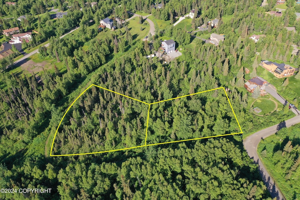 000 Upper de Armoun Rd, Anchorage, AK 99516 - photo 1