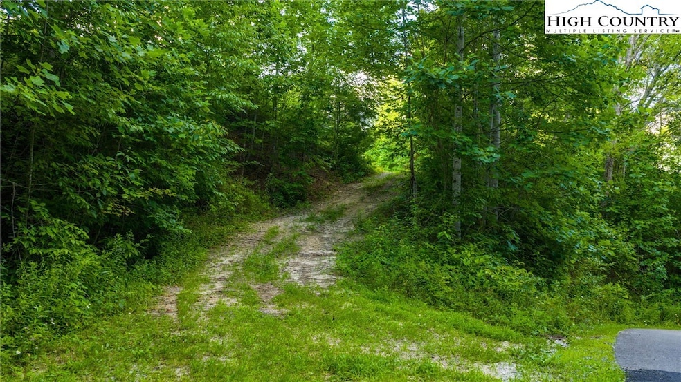 TBD-6 Big Laurel Rd, Creston, NC 28615 - photo 1