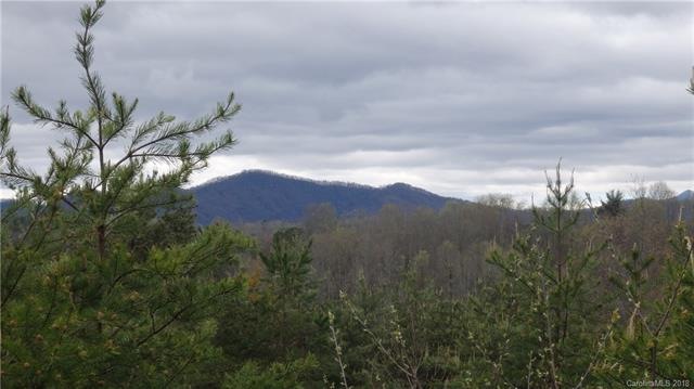 17 Chapel Hill Place unit 38, Leicester, NC 28748 - photo 1