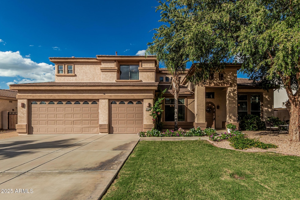 246 E Frances Ln, Gilbert, AZ 85295 - photo 1