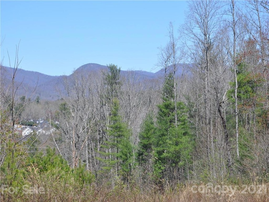 36.35 ACRES Half Moon Trail, Hendersonville, NC 28792 - photo 1