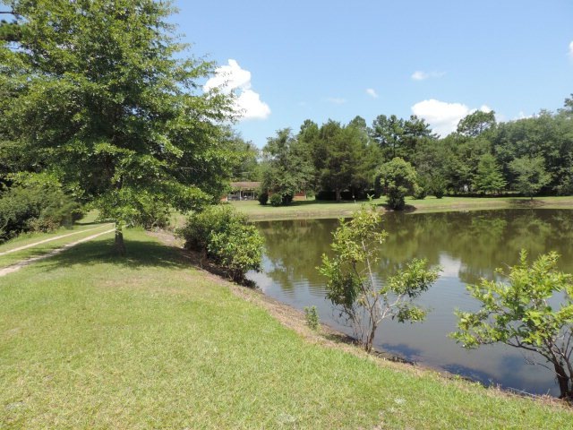 21451 N Hwy 319, Other, GA 31738 - photo 1