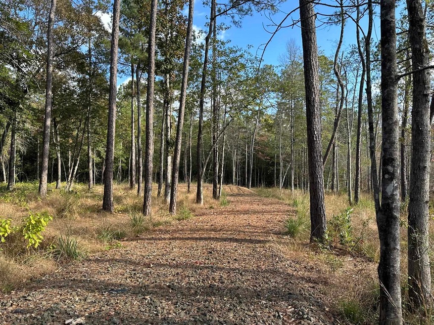 580 County Road 061 unit 580 County Road 061, Jasper, TX 75951 - photo 1